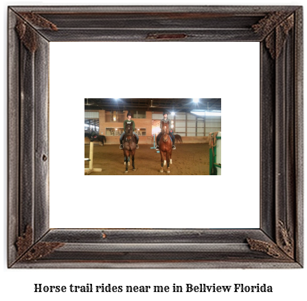 horse trail rides near me in Bellview, Florida